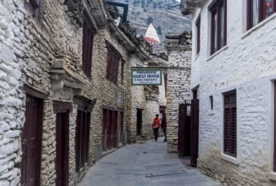 The Apple Pie Trek: Why the Annapurna Circuit is Nepal's Most Delicious Adventure?