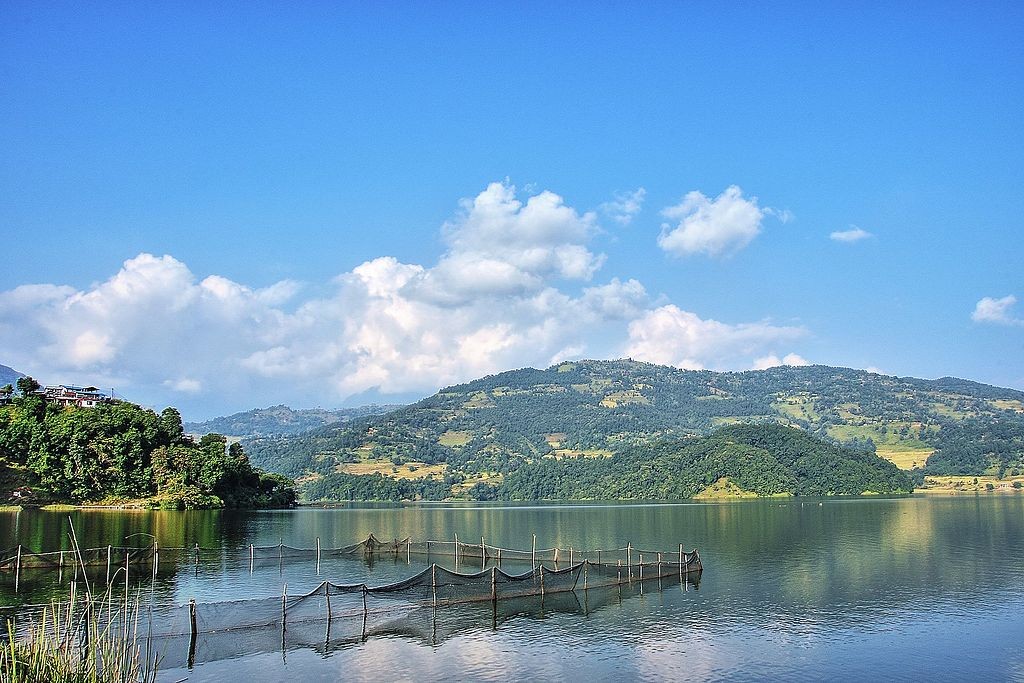 bird watching in pokhara nepal