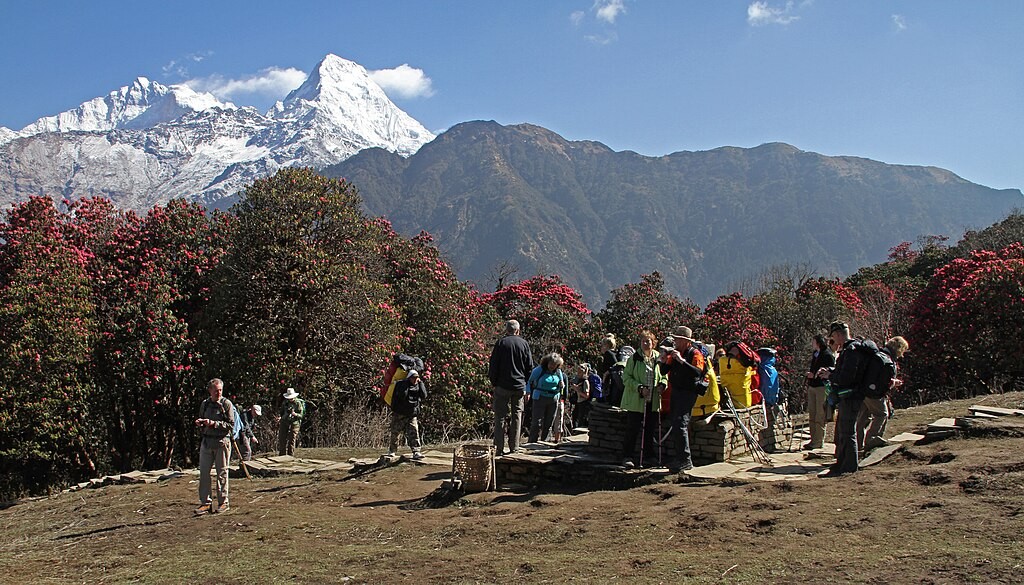 Ghorepani poonhill trek 2025