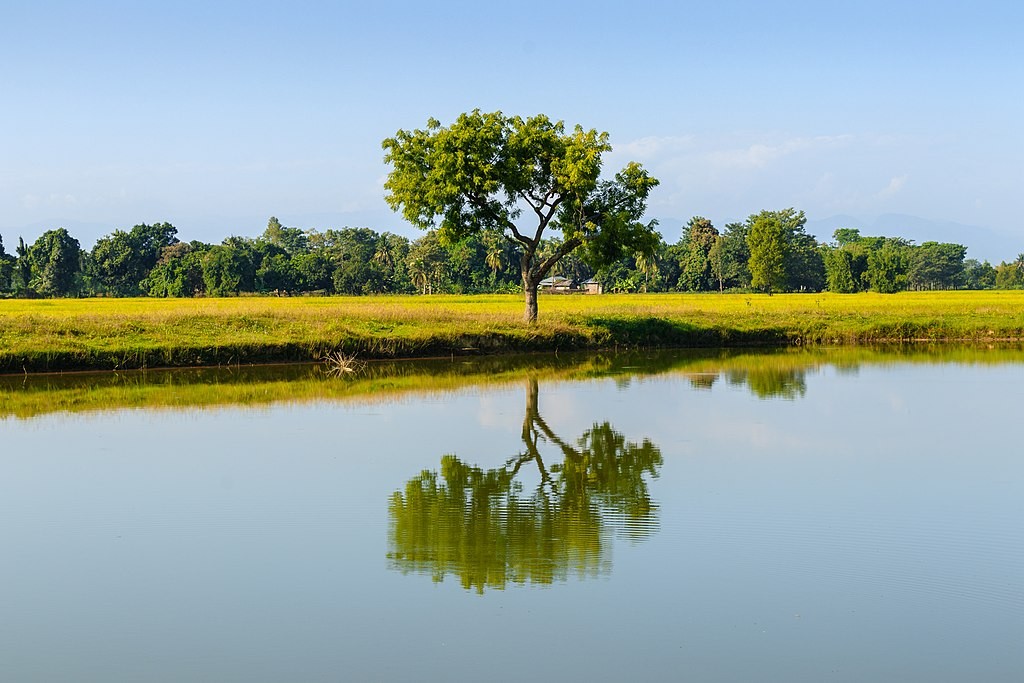 koshi tappu wildlife reserve bird watching nepal
