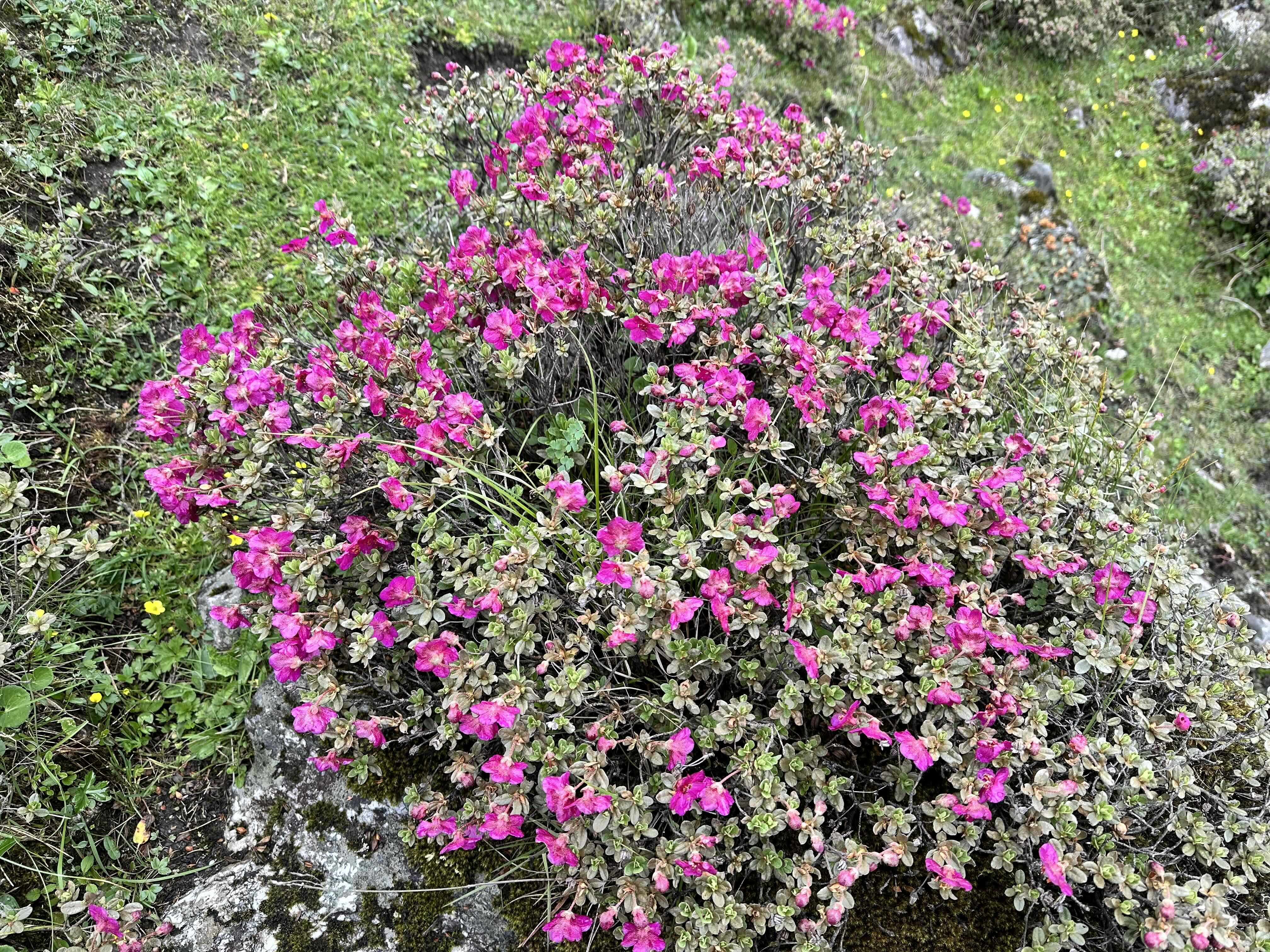 experiential monsoon tour