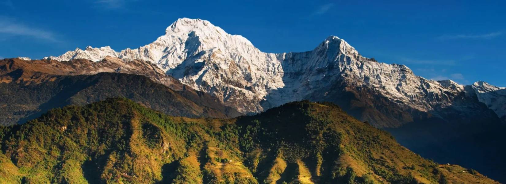 Annapurna Region: The Most Famous & Diverse Trekking Area in Nepal