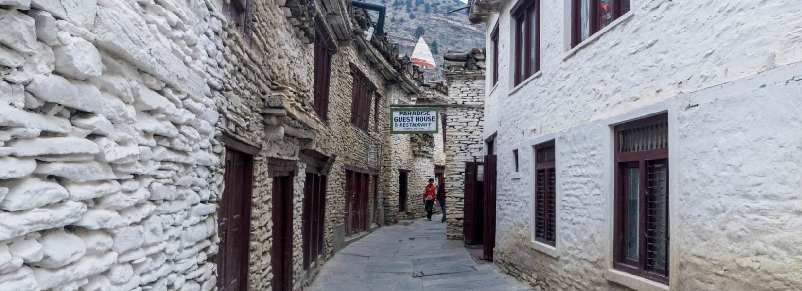 The Apple Pie Trek: Why the Annapurna Circuit is Nepal's Most Delicious Adventure?