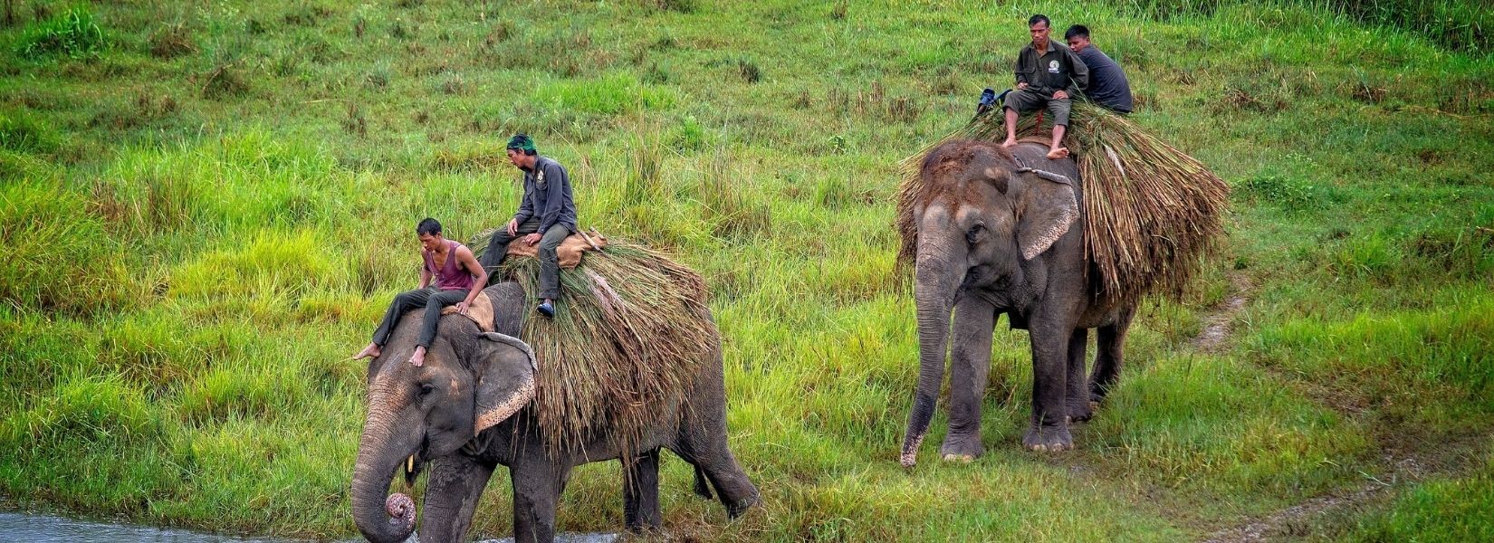 chitwan national park