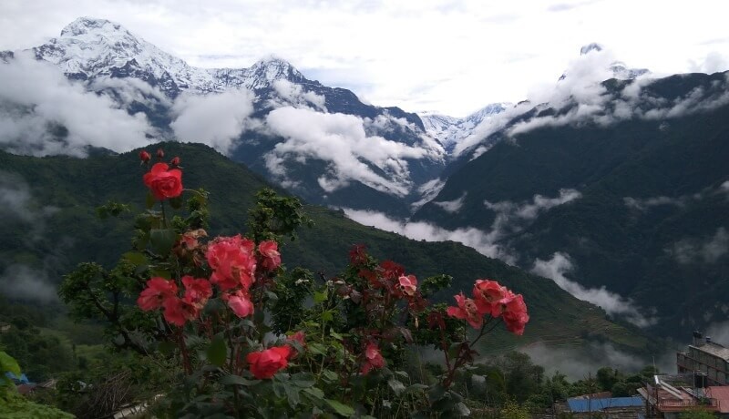 ghandruk trek in spring season nepal