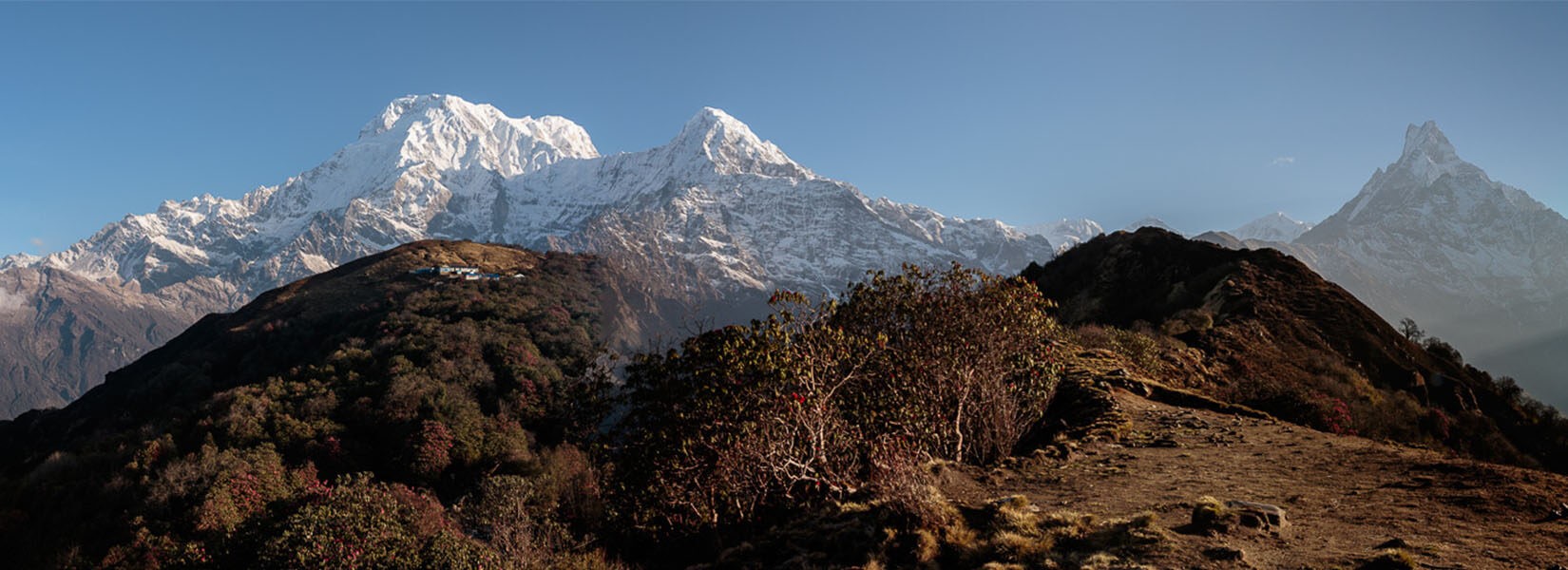 mardi himal base camp