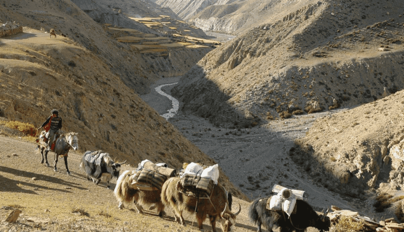 upper dolpo trek nepal