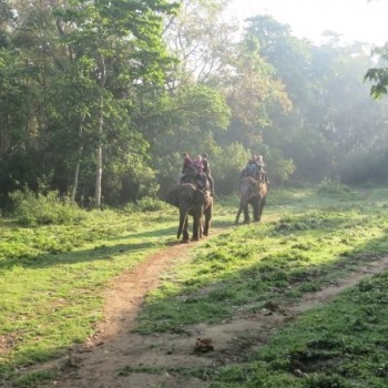 3 Day Chitwan Safari Tour